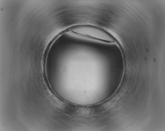 X0000088580935200706081119