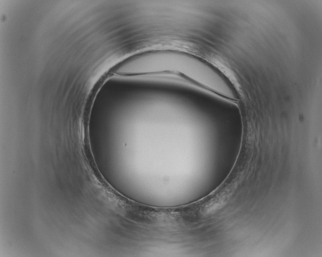 X0000088580936200706081119