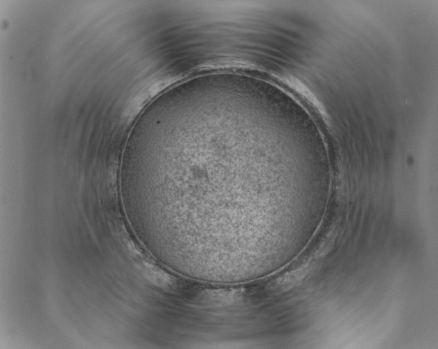 X0000088580937200706081119