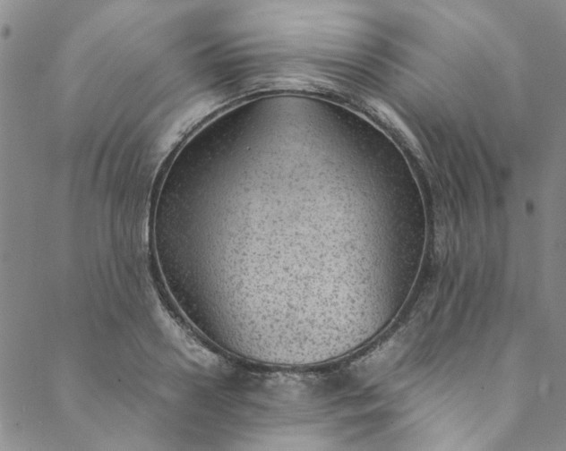 X0000088580938200706081119