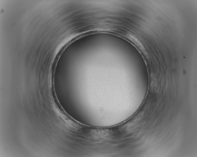 X0000088580939200706081119