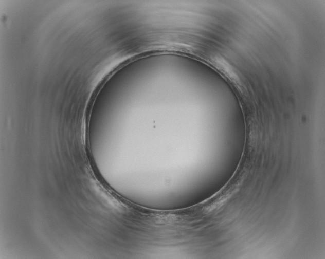 X0000088580940200706081119