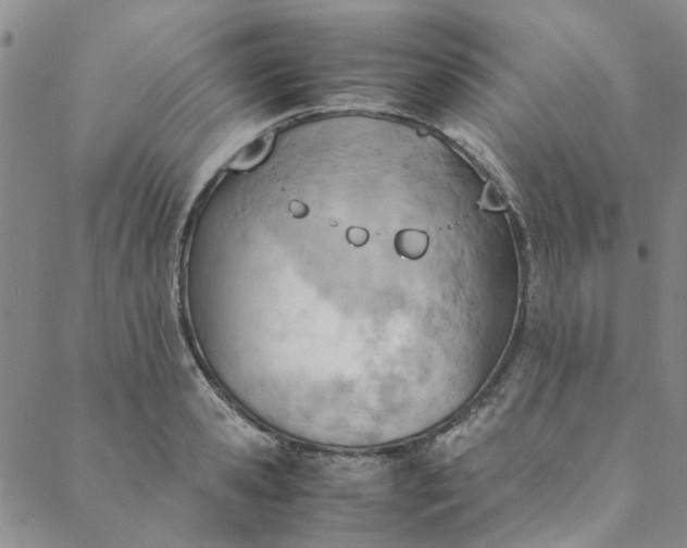 X0000088580941200706081119