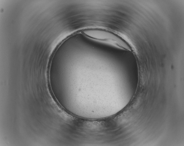 X0000088580943200706081119