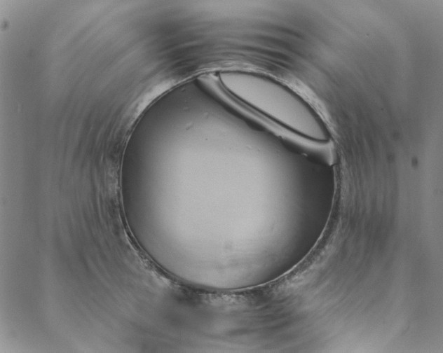 X0000088580945200706081119