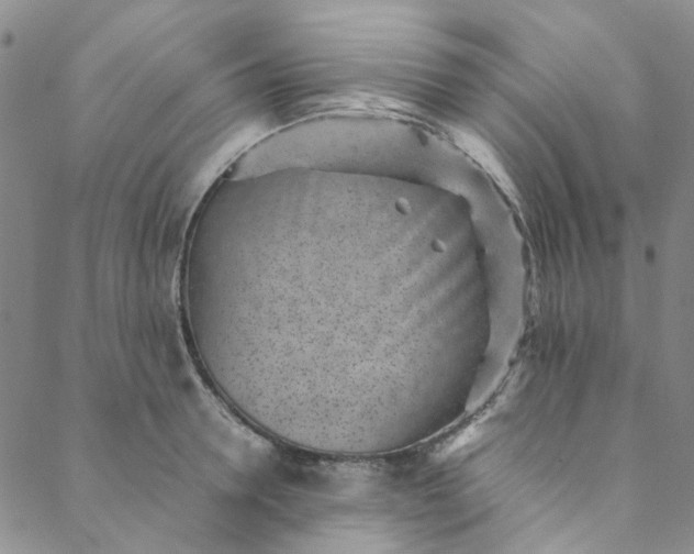 X0000088580946200706081119