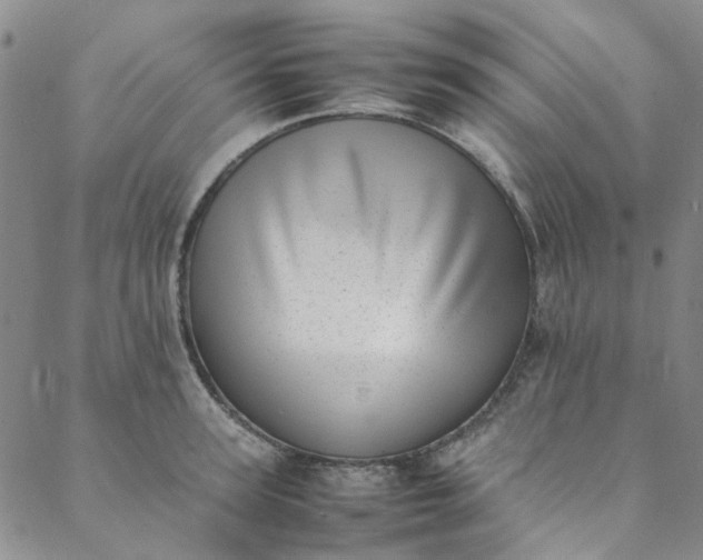 X0000088580947200706081119