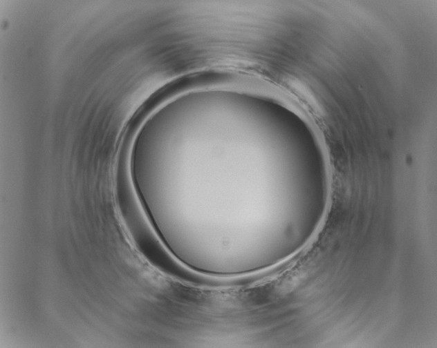 X0000088580948200706081119