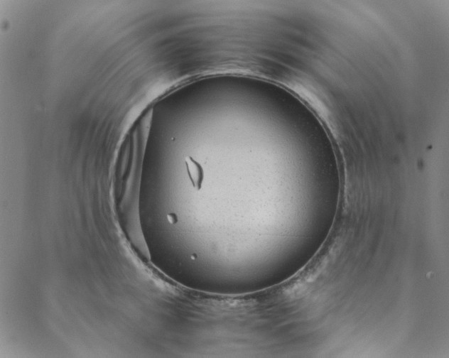 X0000088580949200706081119