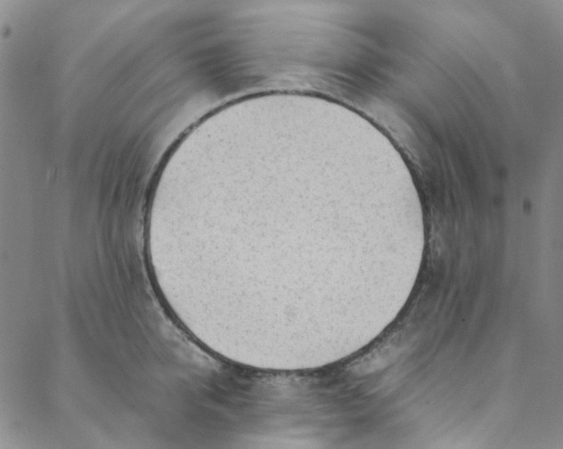 X0000088580950200706081119