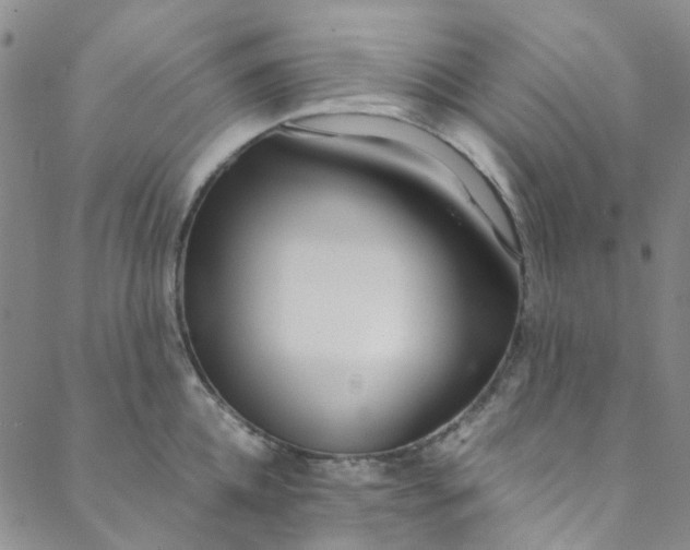 X0000088580952200706081119