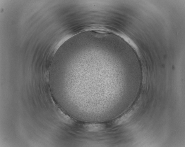 X0000088580953200706081119