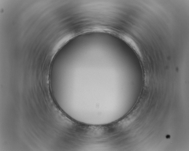 X0000088580954200706081119