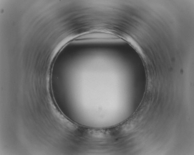 X0000088580955200706081119