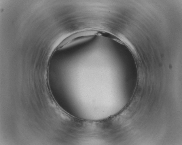 X0000088580956200706081119