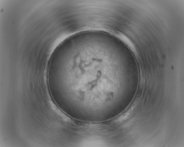 X0000088580958200706081119