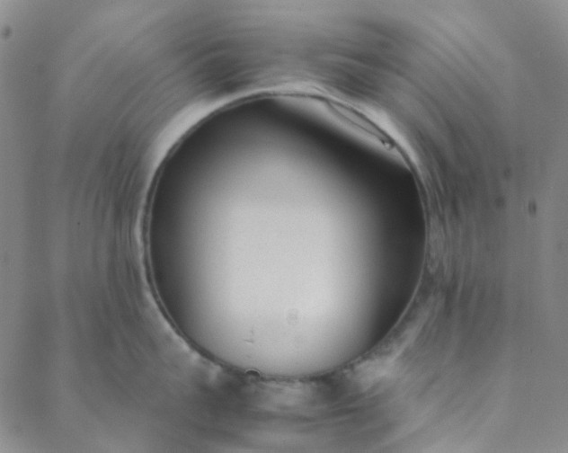 X0000088580959200706081119