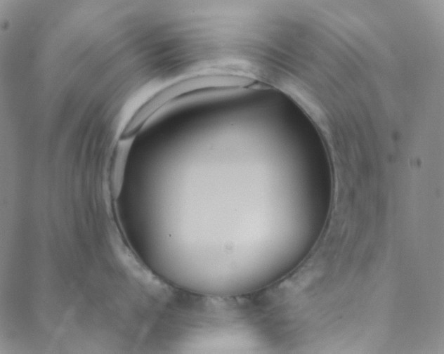 X0000088580960200706081119