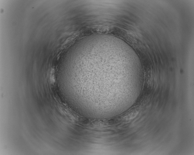 X0000088580962200706081119