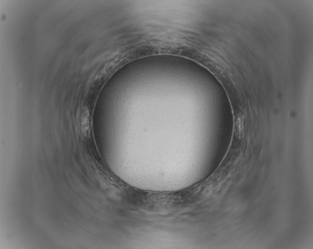 X0000088580963200706081119