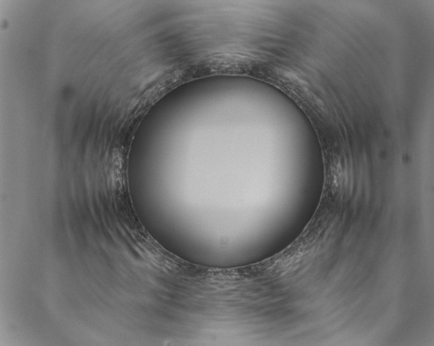 X0000088580964200706081119