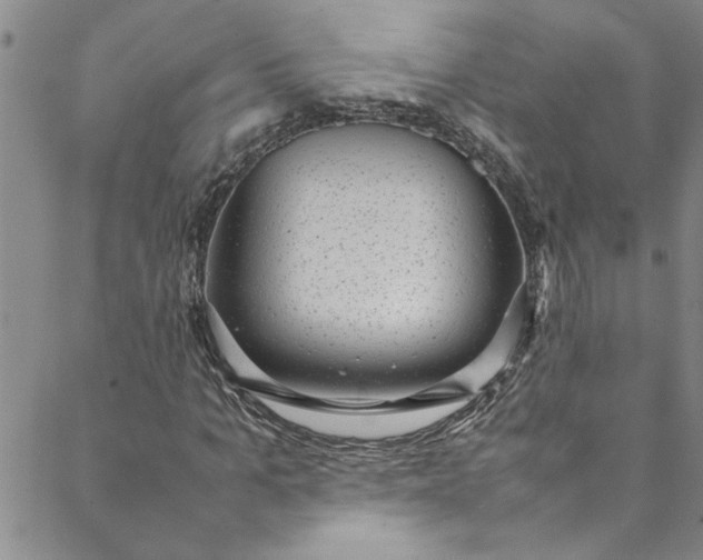 X0000088580965200706081119