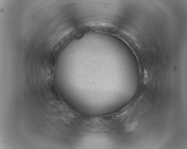 X0000088580966200706081119