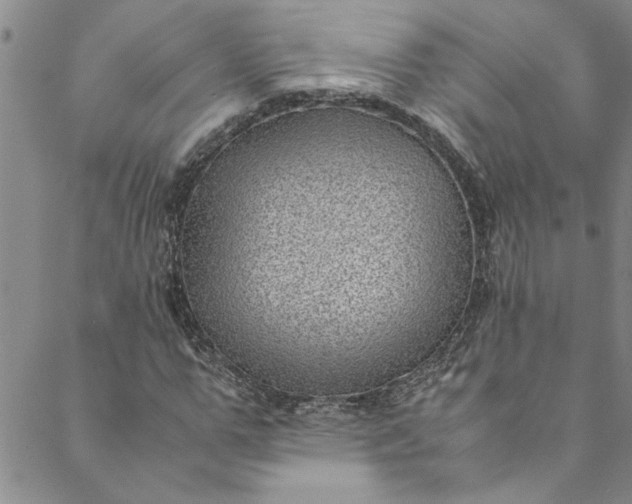 X0000088580967200706081119