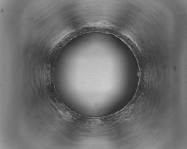 X0000088580968200706081119