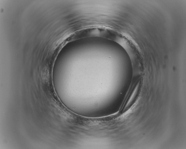 X0000088580969200706081118