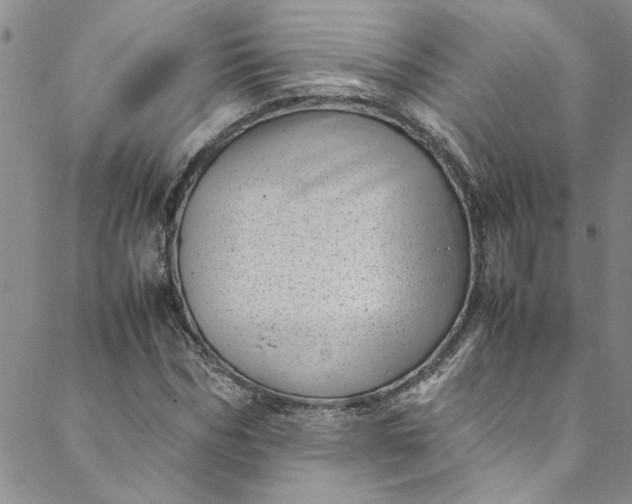 X0000088580970200706081118