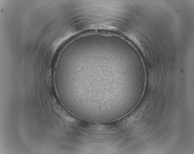 X0000088580971200706081118