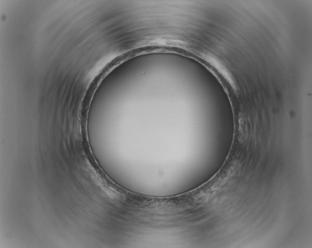 X0000088580972200706081118