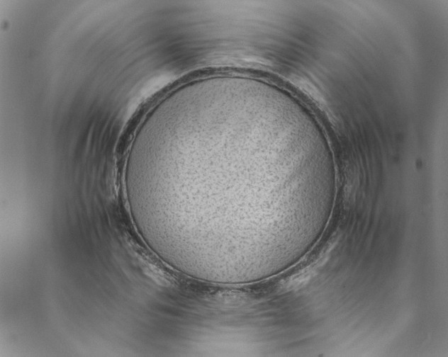 X0000088580974200706081118