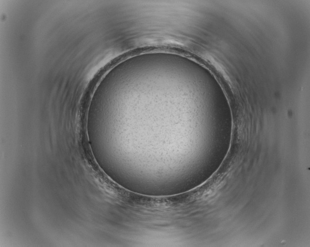 X0000088580975200706081118