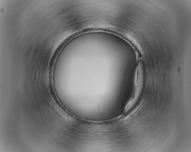 X0000088580976200706081118