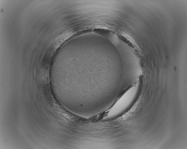 X0000088580977200706081118