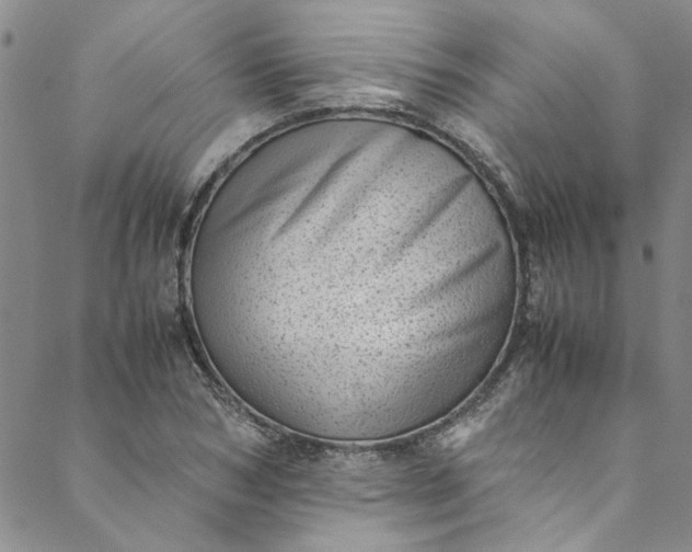 X0000088580978200706081118