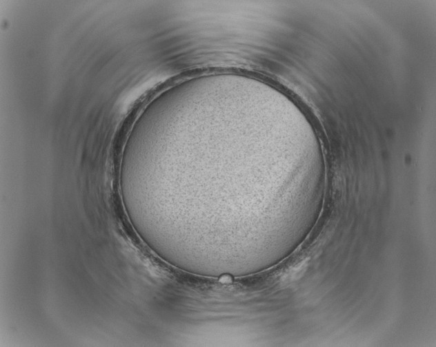 X0000088580979200706081118