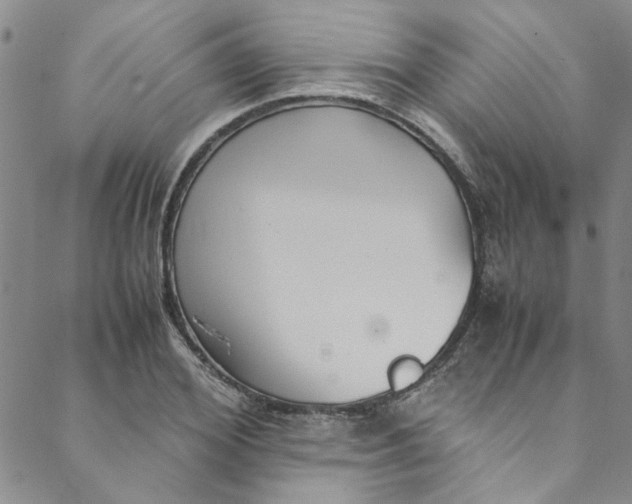 X0000088580980200706081118