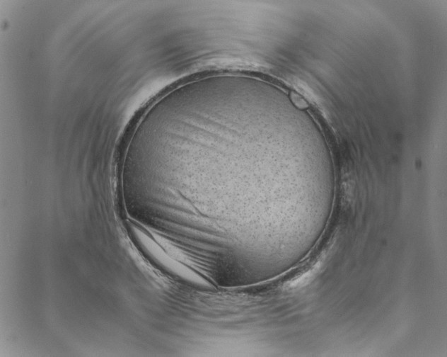 X0000088580981200706081118