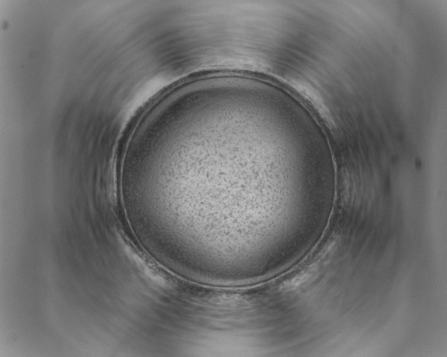 X0000088580982200706081118