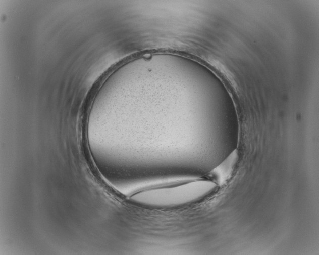 X0000088580983200706081118