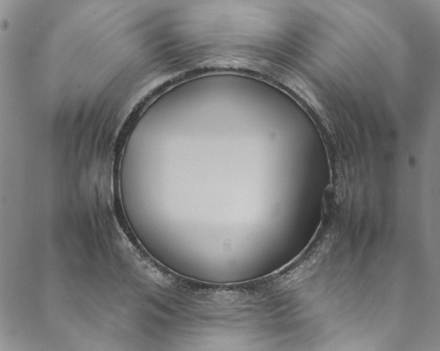 X0000088580984200706081118