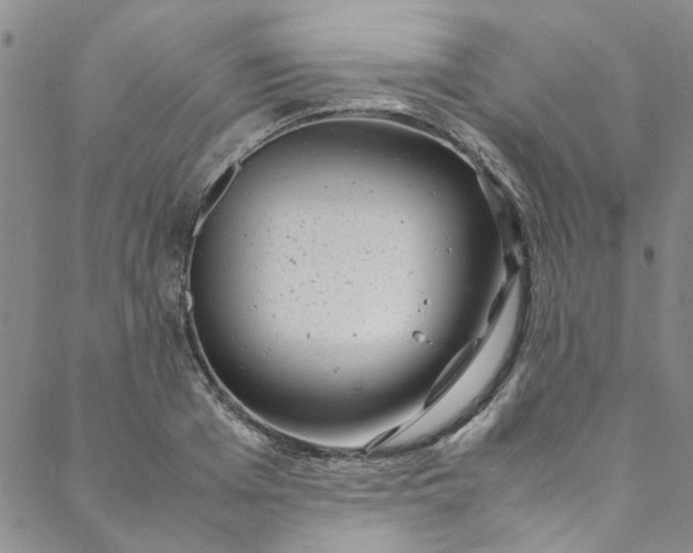 X0000088580985200706081118