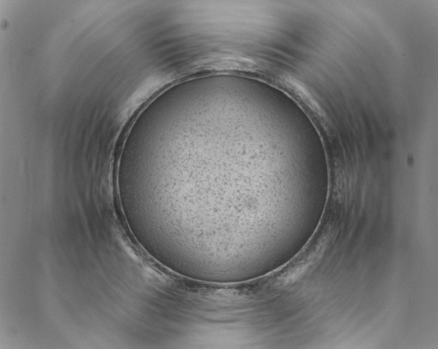 X0000088580986200706081118