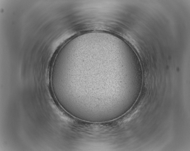 X0000088580987200706081118