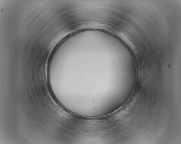 X0000088580988200706081118