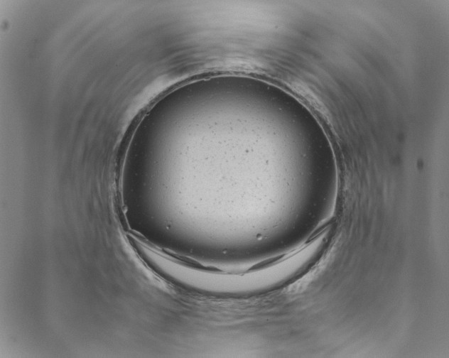 X0000088580989200706081118