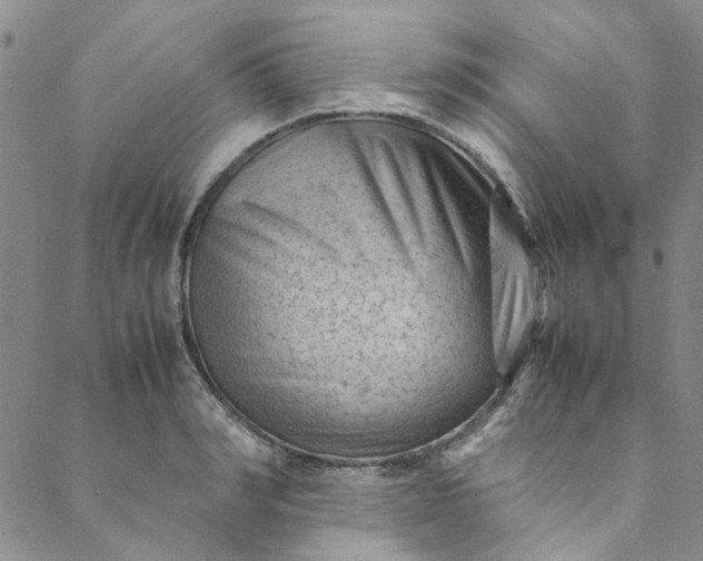 X0000088580990200706081118